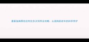 最新指南黑色拉布拉多犬饲养全攻略从选购到老年的科学养护