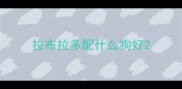 拉布拉多配什么狗好