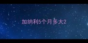 加纳利5个月多大