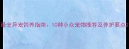 最全异宠饲养指南10种小众宠物推荐及养护要点