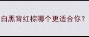 边境牧羊犬毛色全银白黑背红棕哪个更适合你附饲养指南与护理技巧