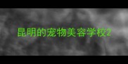 昆明的宠物美容学校