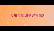 拉布拉多增肥好方法