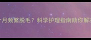 金毛幼犬2个月频繁脱毛科学护理指南助你解决掉毛难题
