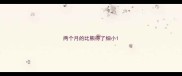 两个月的比熊得了细小