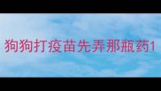 狗狗打疫苗先弄那瓶药