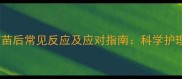 狗狗接种疫苗后常见反应及应对指南科学护理保障健康