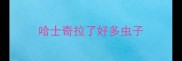 哈士奇拉了好多虫子