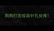 狗狗打完疫苗针孔处疼