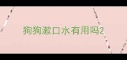 狗狗漱口水有用吗