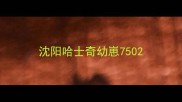 沈阳哈士奇幼崽750
