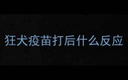 狂犬疫苗打后什么反应
