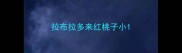 拉布拉多来红桃子小