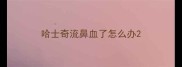 哈士奇流鼻血了怎么办