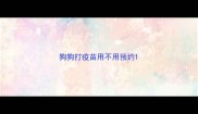 狗狗打疫苗用不用预约