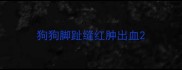 狗狗脚趾缝红肿出血