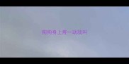 狗狗身上疼一动就叫