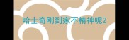 哈士奇刚到家不精神呢
