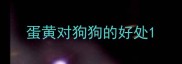 蛋黄对狗狗的好处