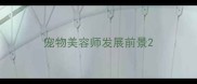 宠物美容师发展前景