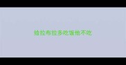 给拉布拉多吃饭他不吃