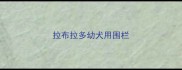 拉布拉多幼犬用围栏