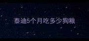 泰迪5个月吃多少狗粮