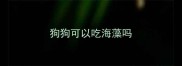 狗狗可以吃海藻吗