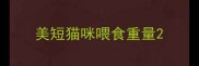 美短猫咪喂食重量