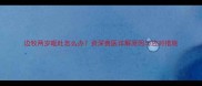 边牧两岁呕吐怎么办资深兽医详解原因与应对措施