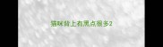 猫咪背上有黑点很多
