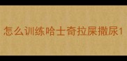 怎么训练哈士奇拉屎撒尿