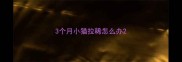 3个月小猫拉稀怎么办