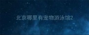 北京哪里有宠物游泳馆