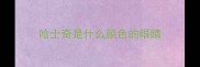 哈士奇是什么颜色的眼睛