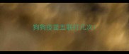 狗狗疫苗五联打几次