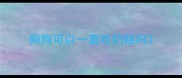 狗狗可以一直吃奶糕吗