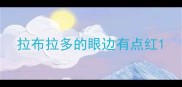 拉布拉多的眼边有点红