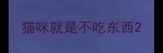 猫咪就是不吃东西