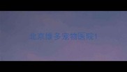 北京维多宠物医院