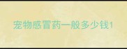 宠物感冒药一般多少钱