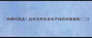 纯种VS混血白色拉布拉多纯不纯的终极指南