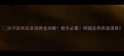 兴宁拉布拉多饲养全攻略新手必看附超实用养宠清单