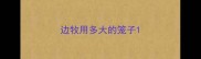 边牧用多大的笼子