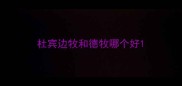 杜宾边牧和德牧哪个好