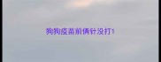 狗狗疫苗前俩针没打
