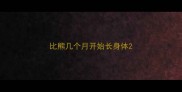 比熊几个月开始长身体