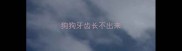 狗狗牙齿长不出来