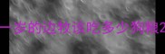一岁的边牧该吃多少狗粮