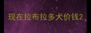 现在拉布拉多犬价钱